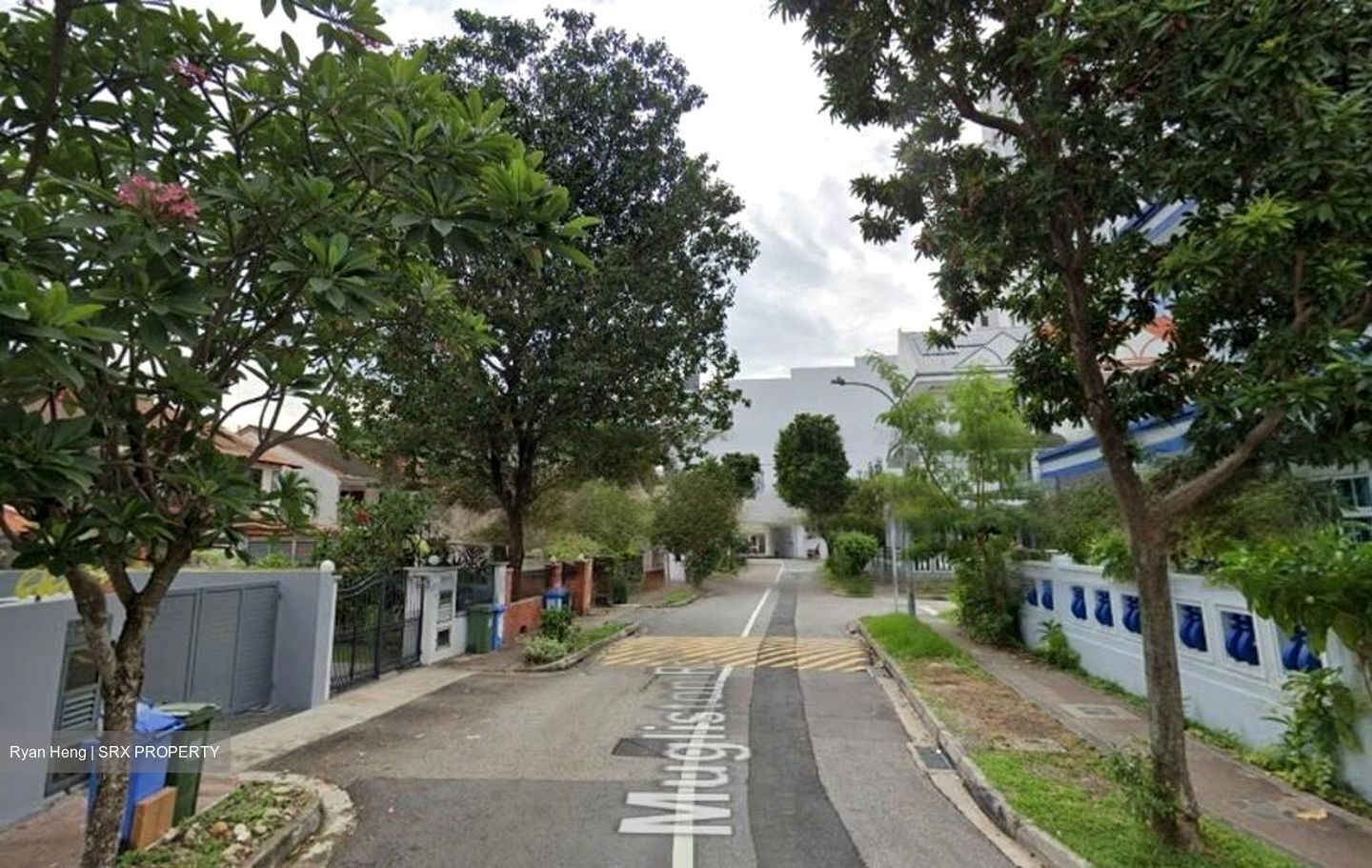 Haig Road (D15), Terrace #461166551